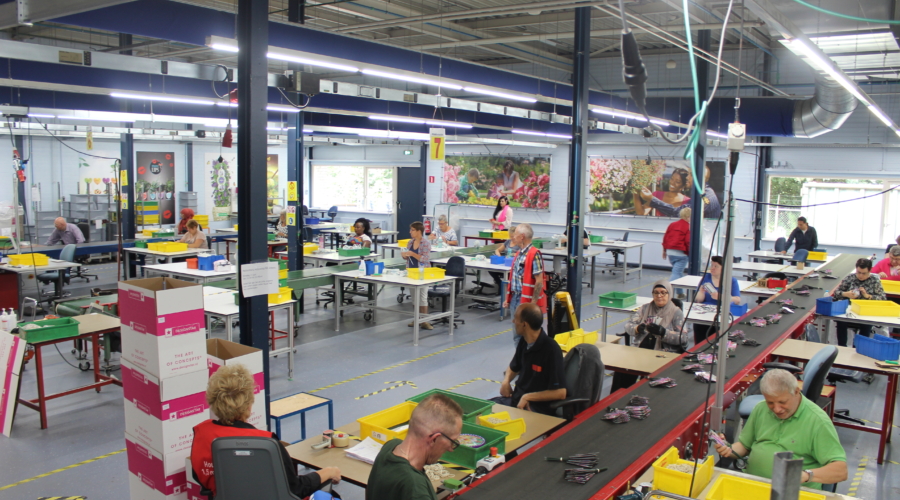 Sociaal ontwikkelbedrijf in Boxtel- WSD - Werk.Samen.Doen